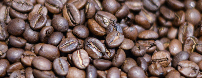 Kaffee­maschinen bei Martin Markhof in Warmensteinach